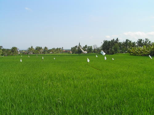 2005_indonesiatrip_333_2